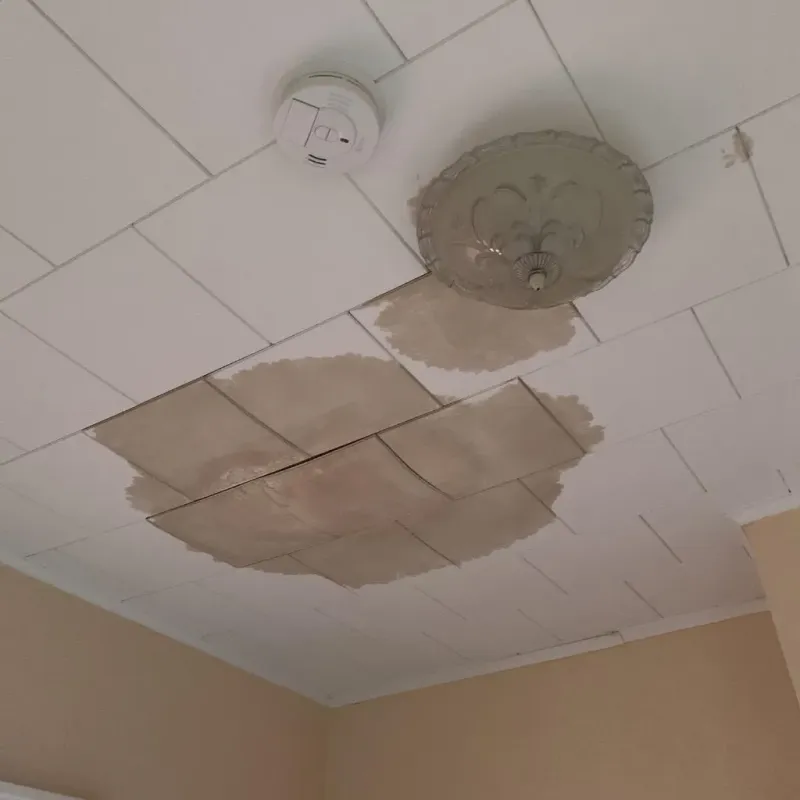 Ceiling Water Damage Repair in Johnston County, NC