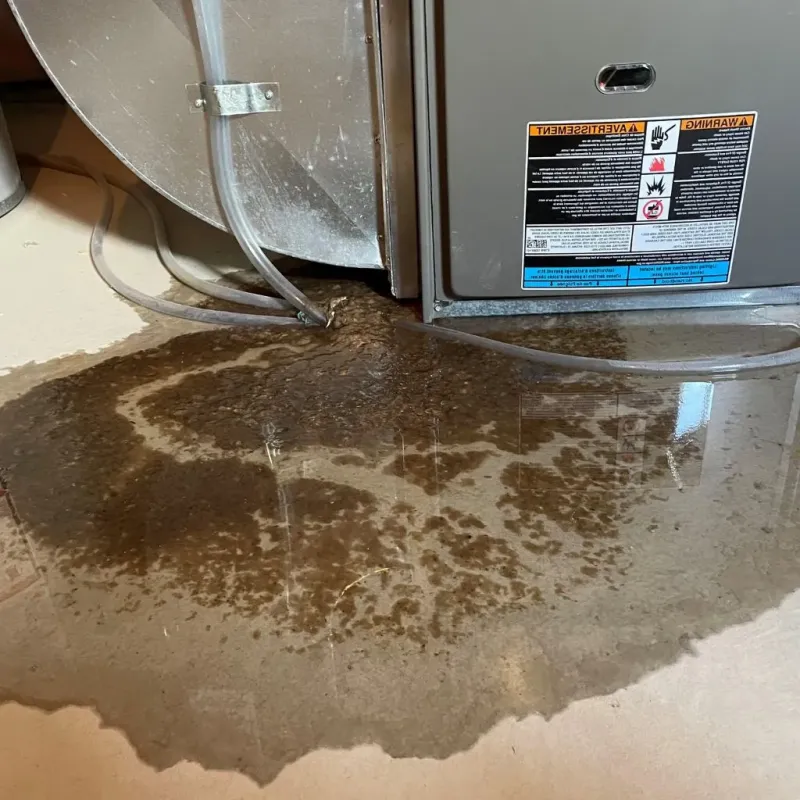 Pipe Burst and Leak Restoration in Johnston County, NC