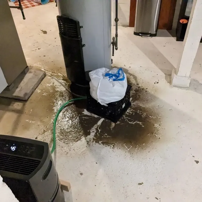 Sewage Backup Cleanup Service in Johnston County, NC